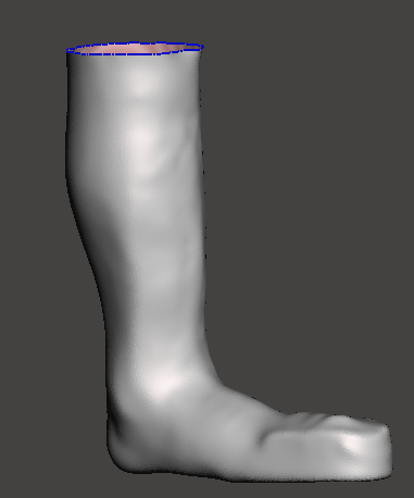 AFOPlasterScan