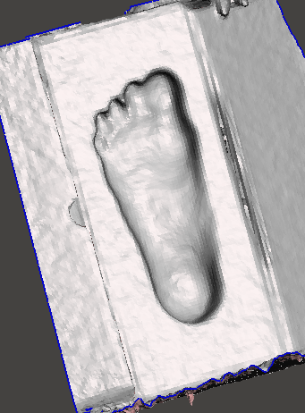 FoamBoxScan