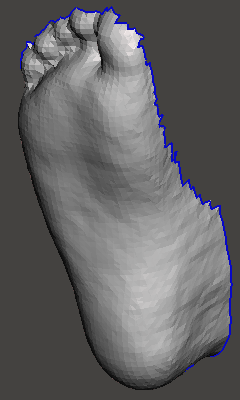 FootScan